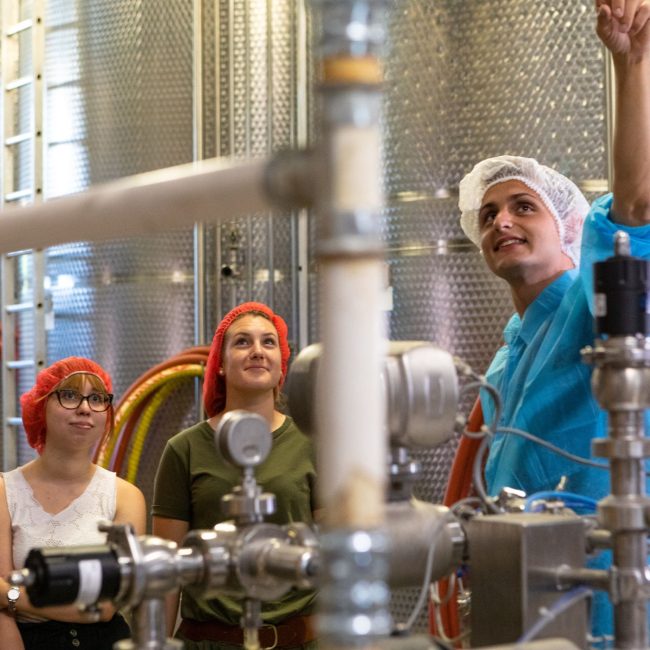 stabilimento di produzione melchiori